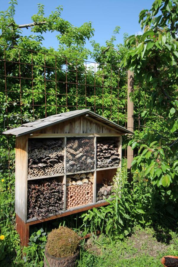 Appartamento Haus Im Erlengrund Coldrano Esterno foto